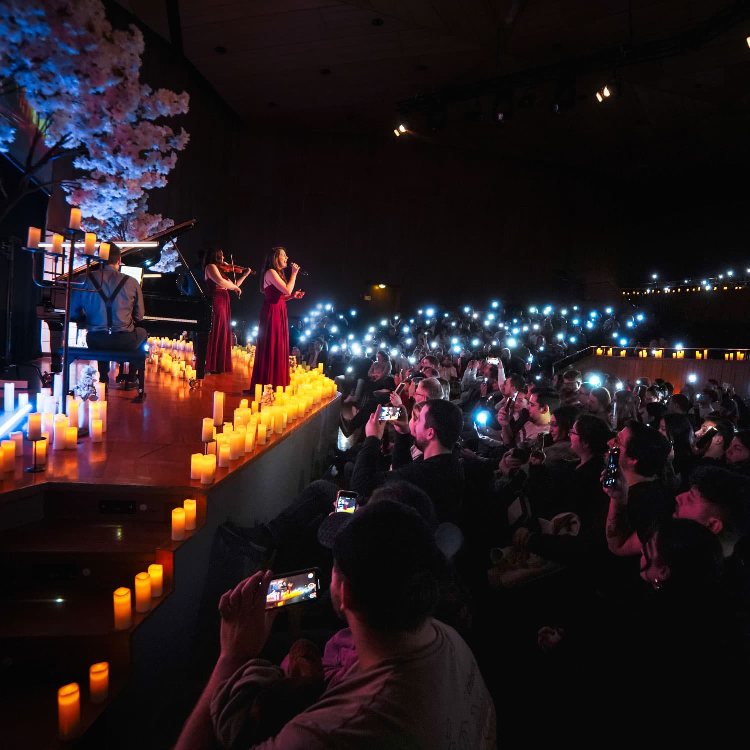 Anime Dreamlight Concerts